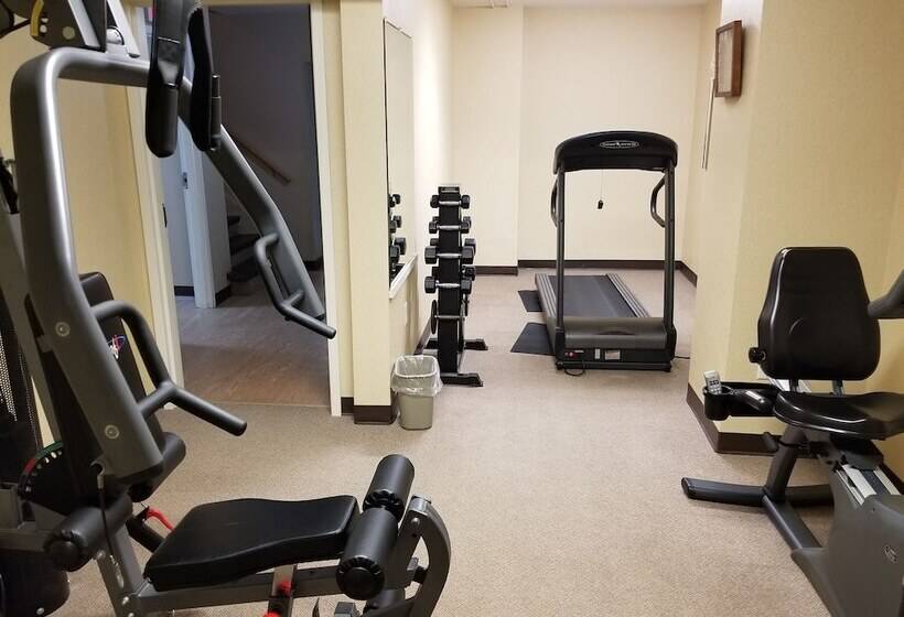 Отель Comfort Inn   Gander