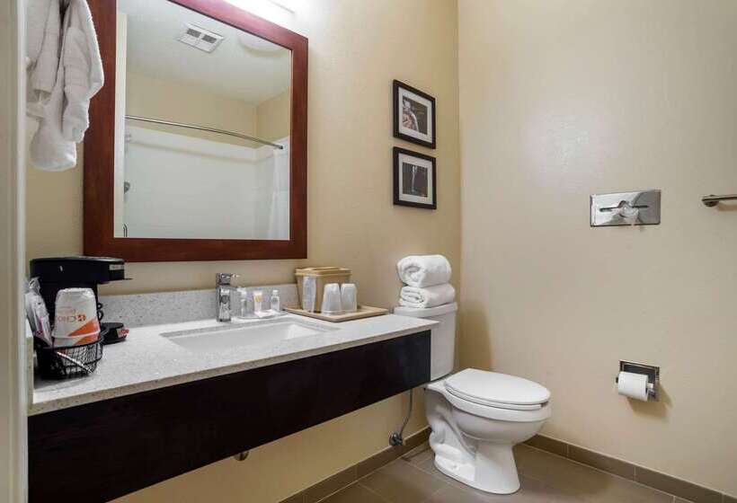 酒店 Comfort Inn Greenville I65