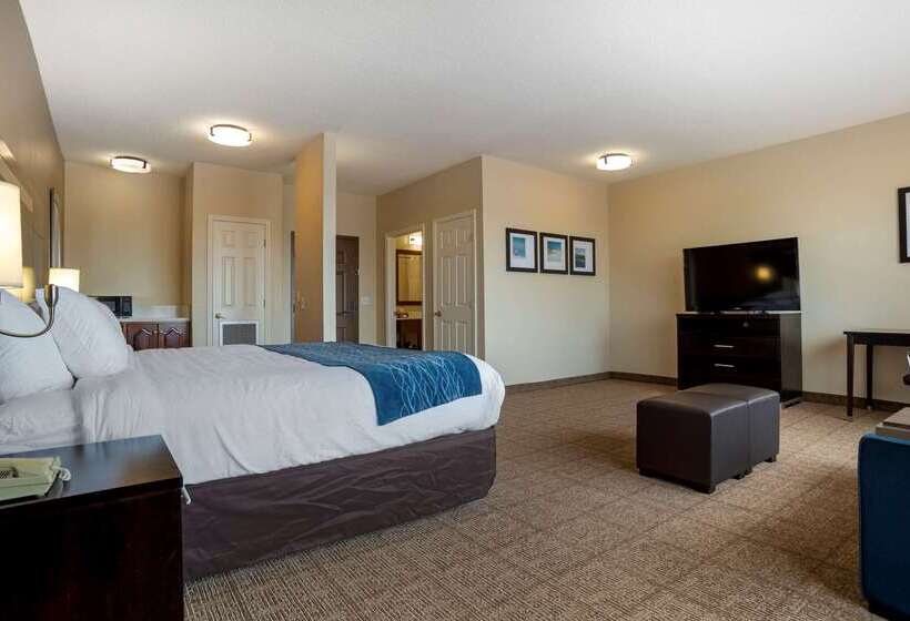 酒店 Comfort Inn Greenville I65