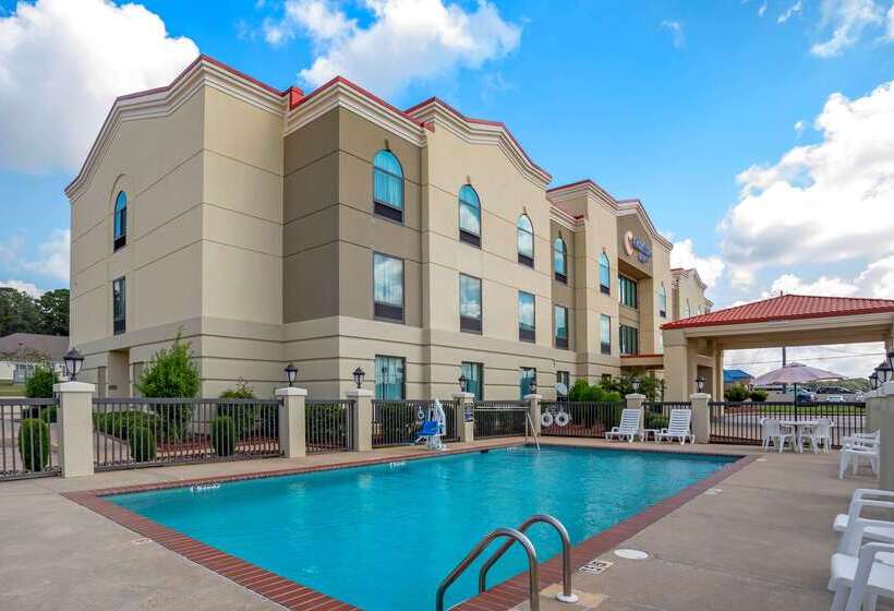 酒店 Comfort Inn Greenville I65