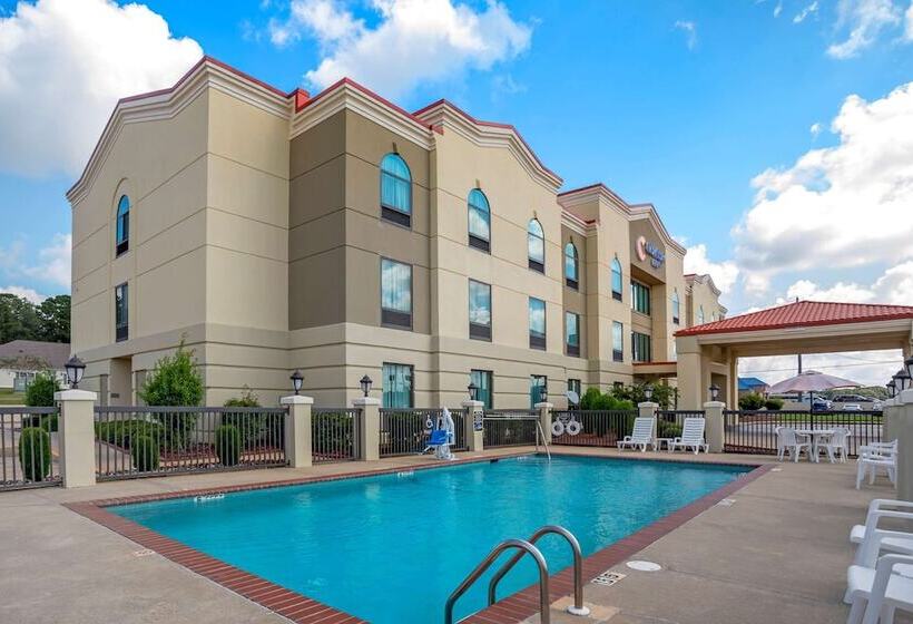 酒店 Comfort Inn Greenville I65