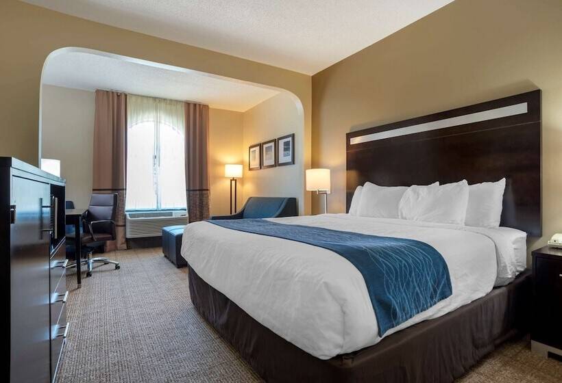 酒店 Comfort Inn Greenville I65