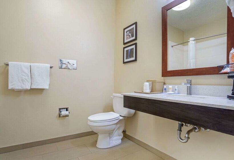 酒店 Comfort Inn Greenville I65