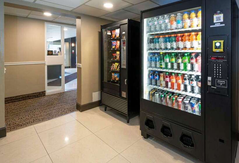 בית מלון כפרי Comfort Inn Lakeshore