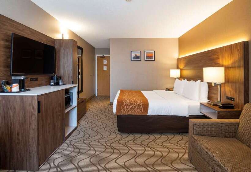 בית מלון כפרי Comfort Inn Lakeshore