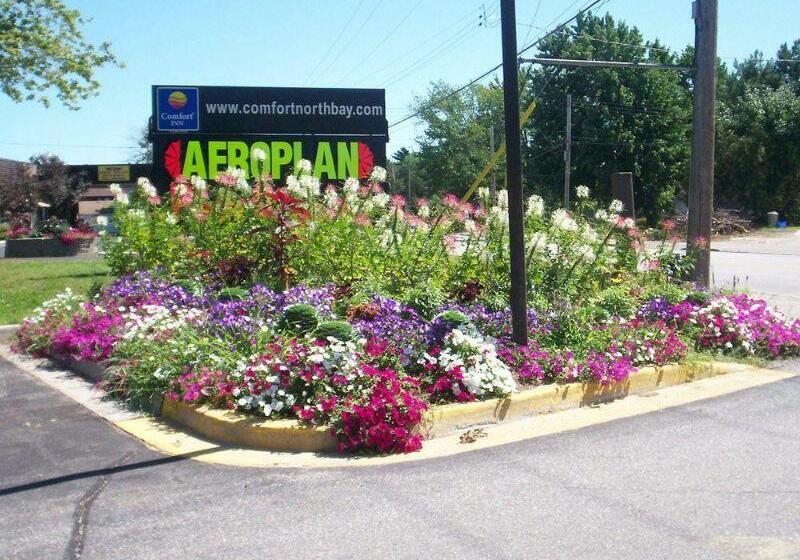 فندق Comfort Inn Lakeshore