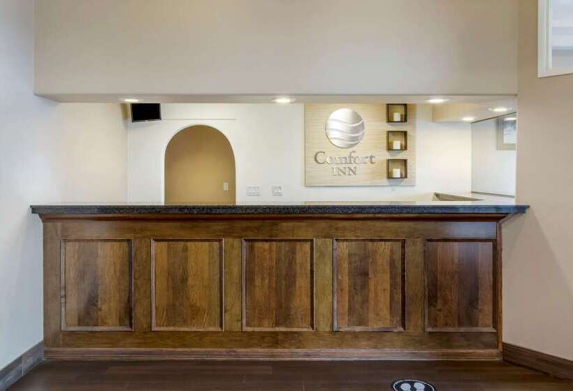 فندق Comfort Inn