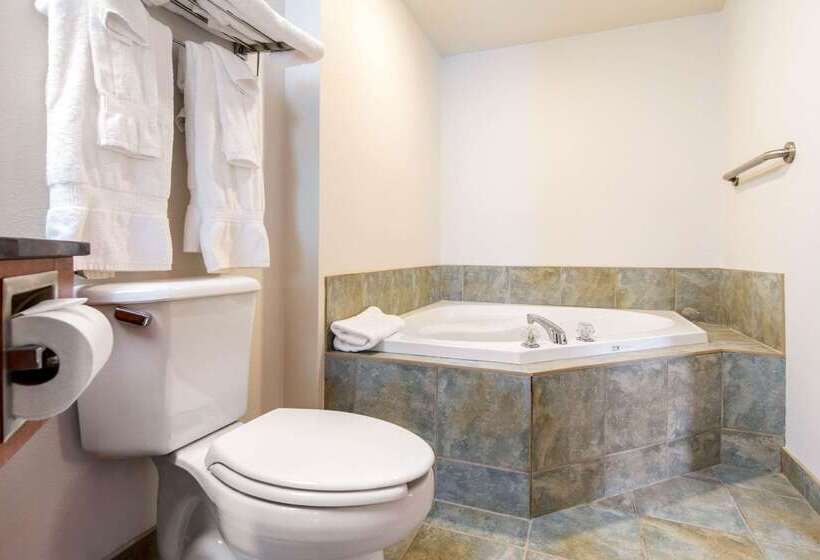 Отель Comfort Inn & Suites Shawinigan