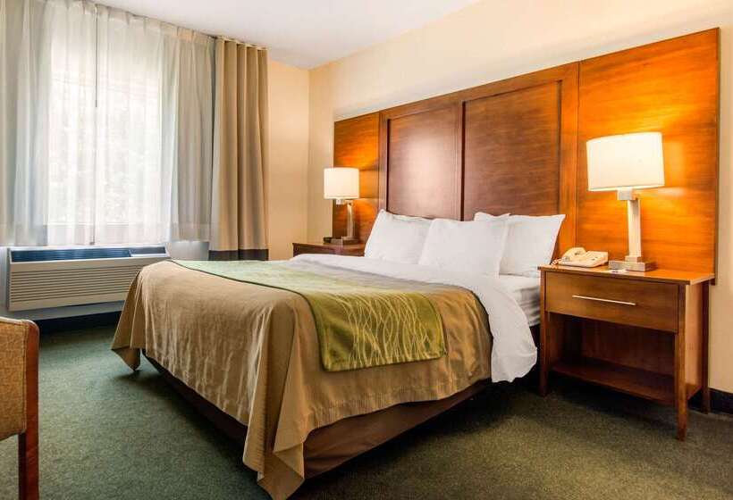 Отель Comfort Inn & Suites Shawinigan