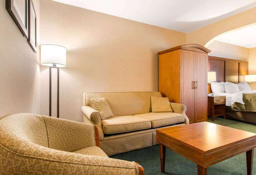 Отель Comfort Inn & Suites Shawinigan