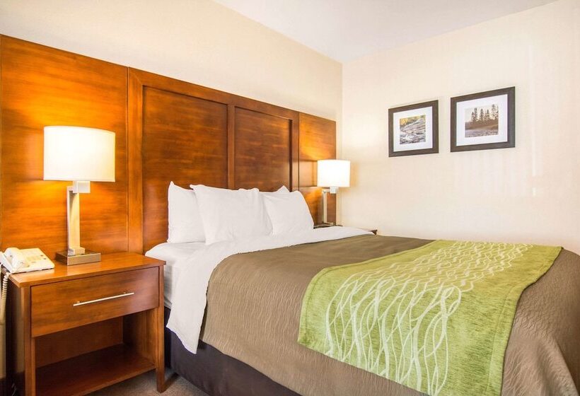 Отель Comfort Inn & Suites Shawinigan