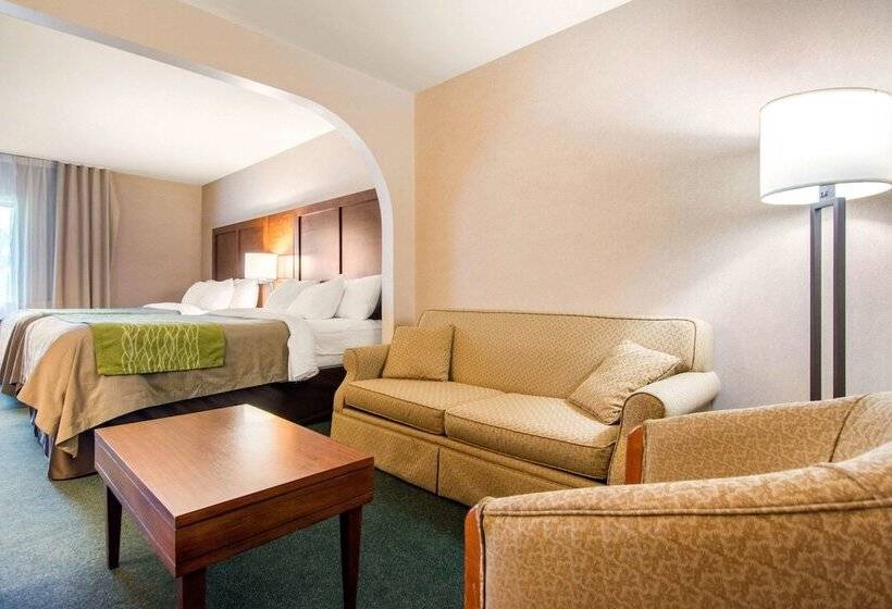 Отель Comfort Inn & Suites Shawinigan