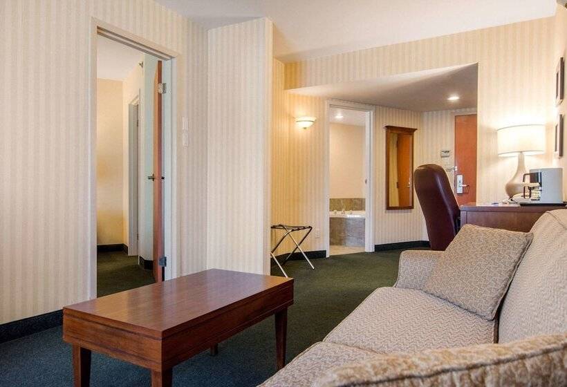 Отель Comfort Inn & Suites Shawinigan