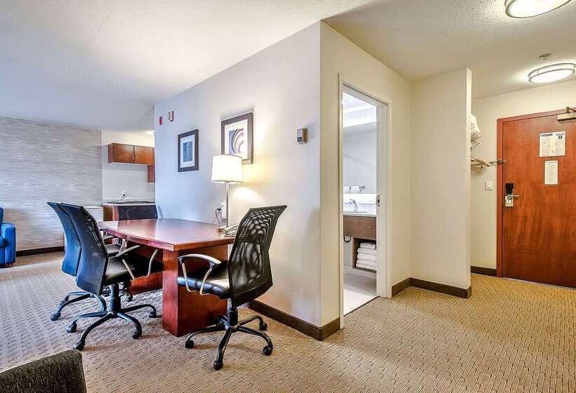 בית מלון כפרי Comfort Inn & Suites South