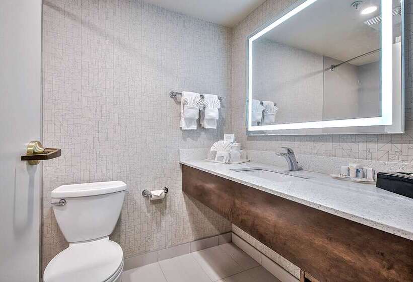 בית מלון כפרי Comfort Inn & Suites South