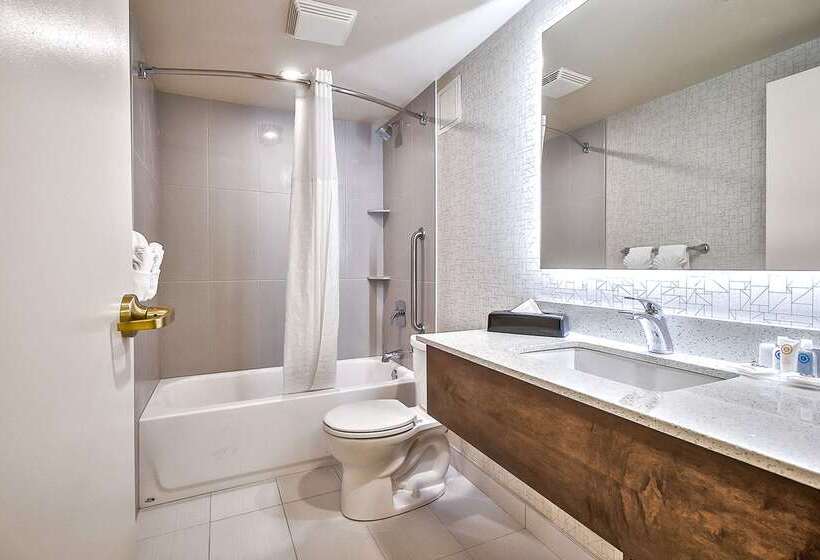 هتل Comfort Inn & Suites South