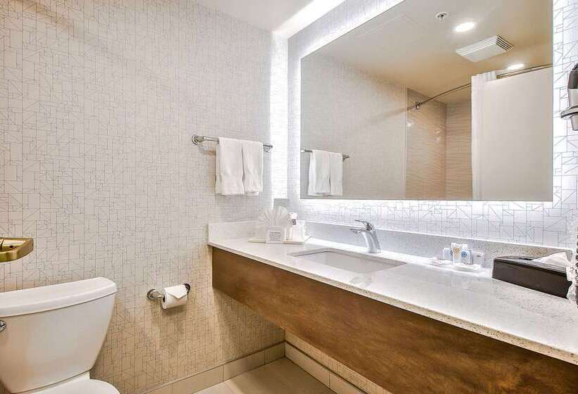 בית מלון כפרי Comfort Inn & Suites South