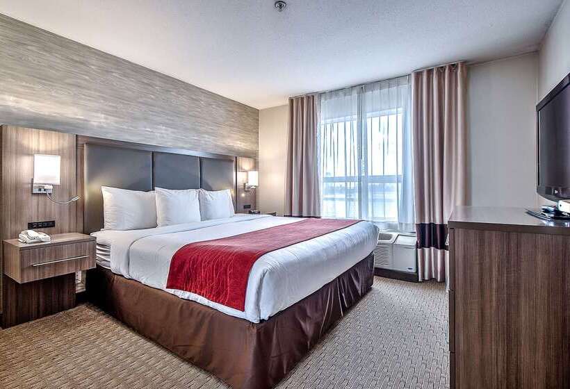 בית מלון כפרי Comfort Inn & Suites South