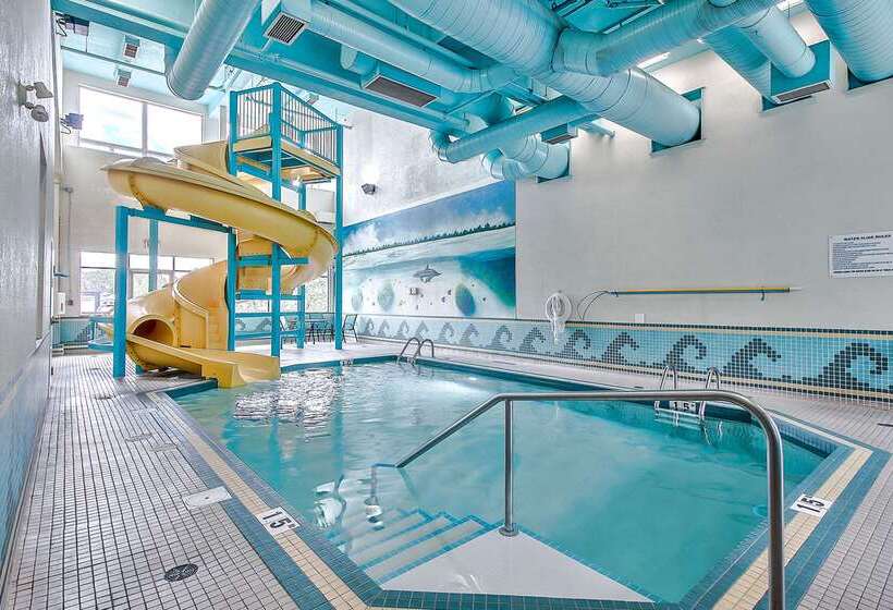 בית מלון כפרי Comfort Inn & Suites South