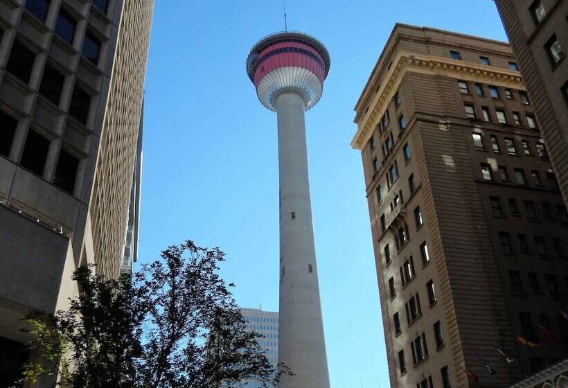 בית מלון כפרי Comfort Inn & Suites South