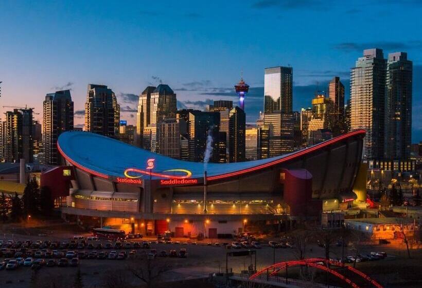 בית מלון כפרי Comfort Inn & Suites South