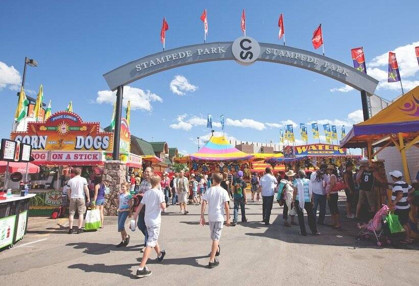 בית מלון כפרי Comfort Inn & Suites South