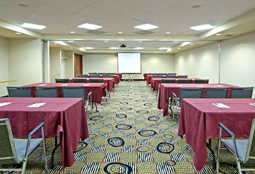 בית מלון כפרי Comfort Inn & Suites South