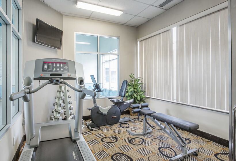 בית מלון כפרי Comfort Inn & Suites South