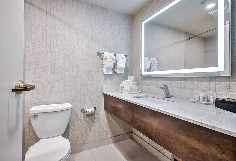 בית מלון כפרי Comfort Inn & Suites South