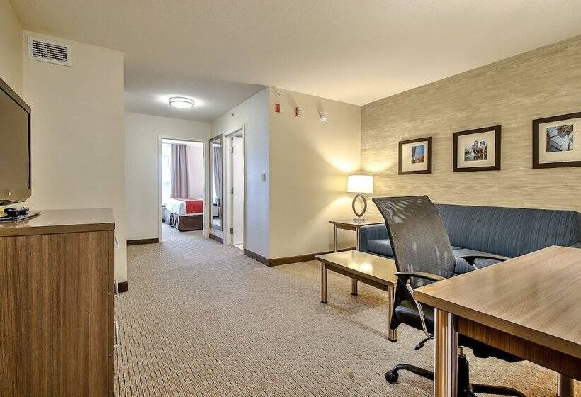 בית מלון כפרי Comfort Inn & Suites South