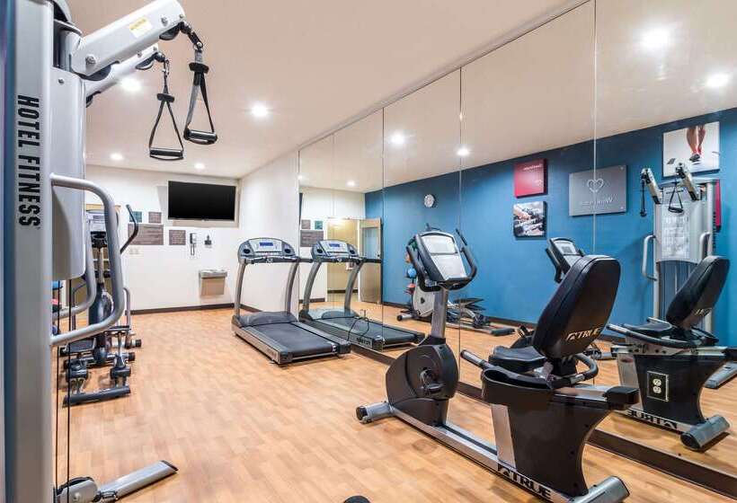 فندق Comfort Suites