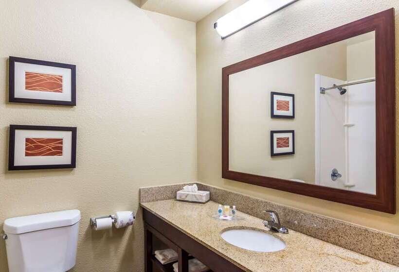 فندق Comfort Suites