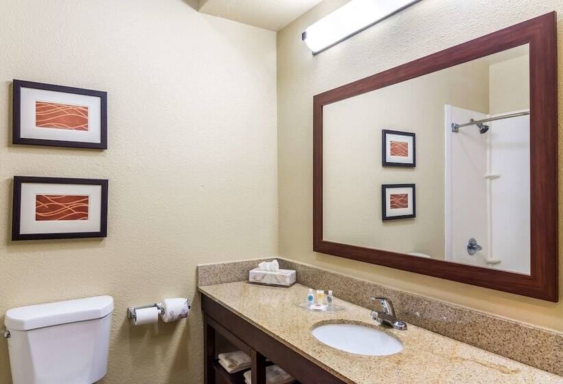 فندق Comfort Suites