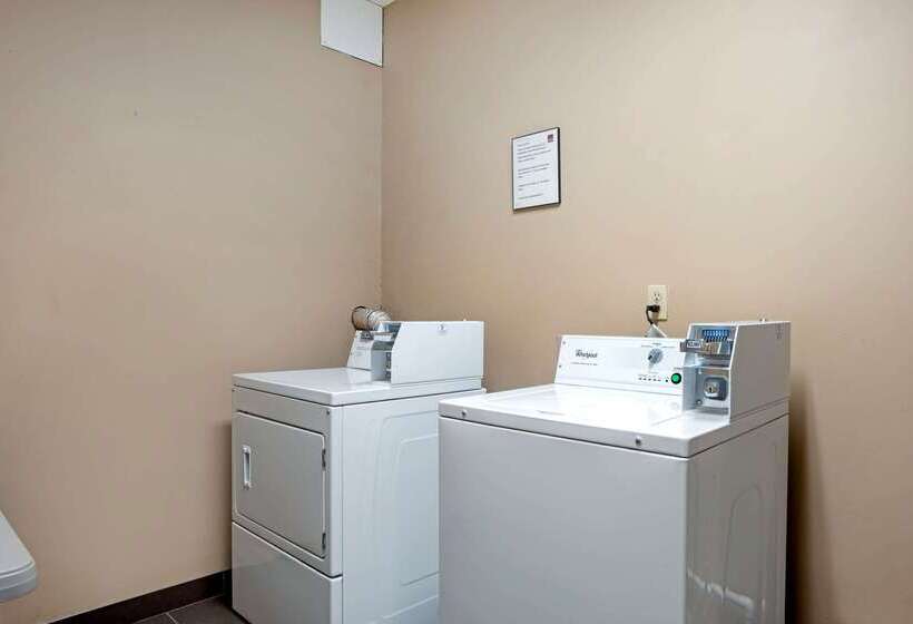 בית מלון כפרי Comfort Suites Mobile East Bay