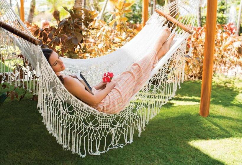 Отель Excellence Punta Cana All Inclusive Adults Only