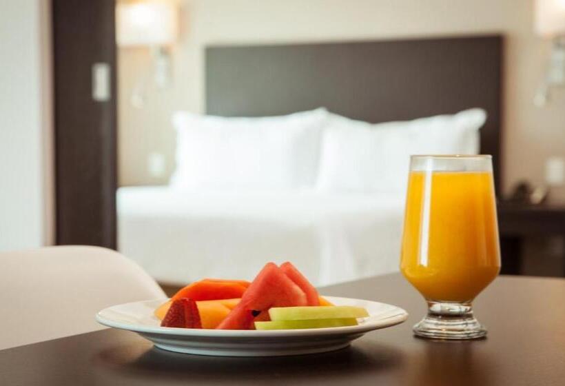 هتل Fiesta Inn Periferico Sur