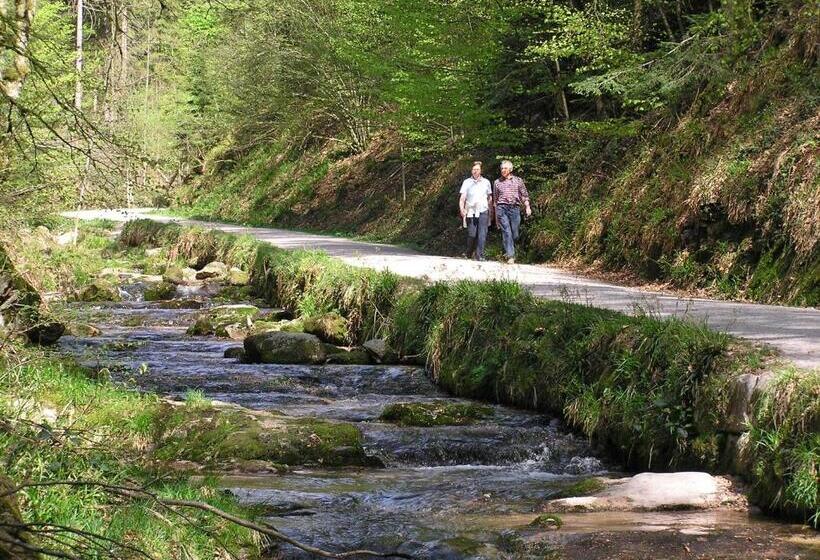 Flair Hotel Adlerbad