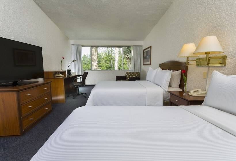 فندق Gamma Pachuca