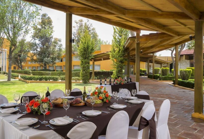 فندق Gamma Pachuca