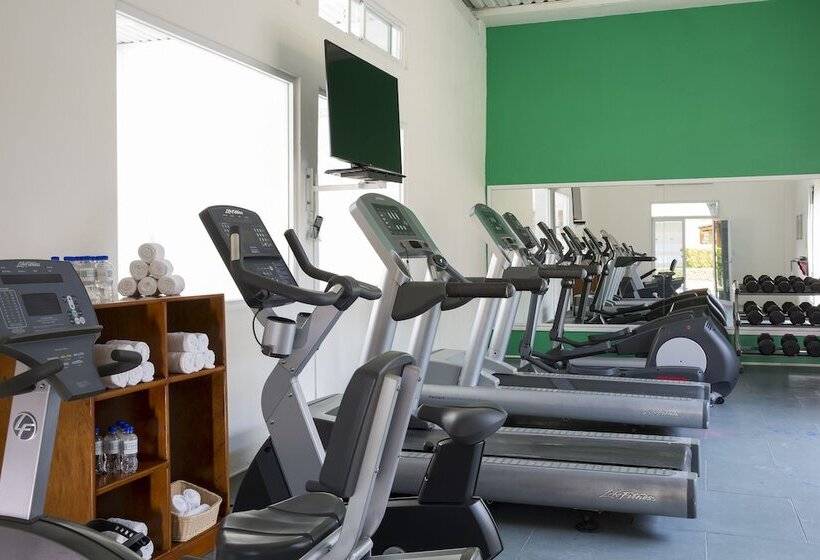 فندق Gamma Pachuca