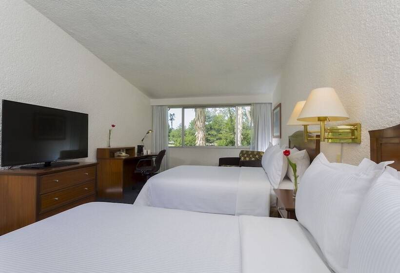 בית מלון כפרי Gamma Pachuca