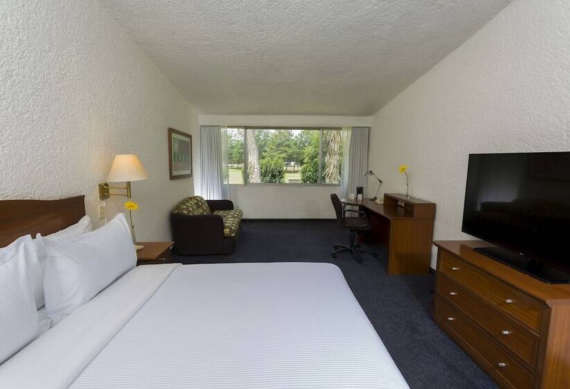 בית מלון כפרי Gamma Pachuca