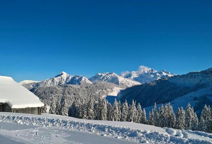 Отель Hôtel Du Grand Mont