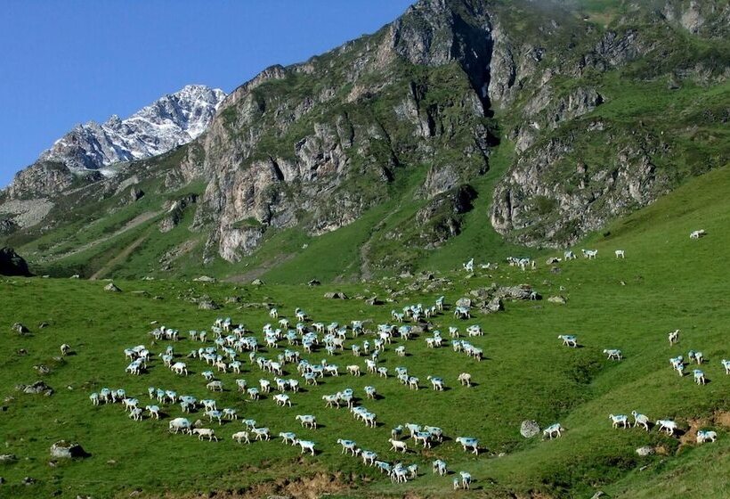 酒店 Hôtel Le Catala