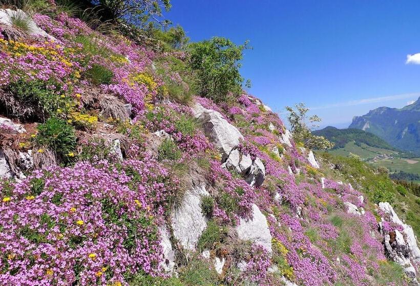 בית מלון כפרי Hôtel Le Christania