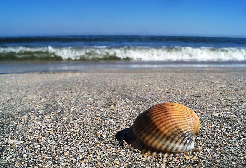 فندق Iaki Conference & Spa