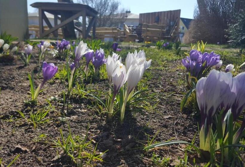 فندق Idyll Am Wolgastsee