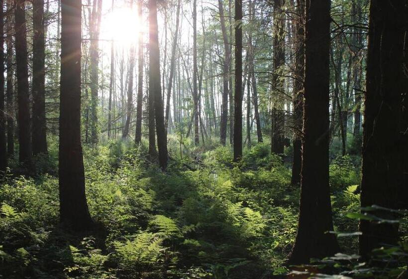 فندق Idyll Am Wolgastsee