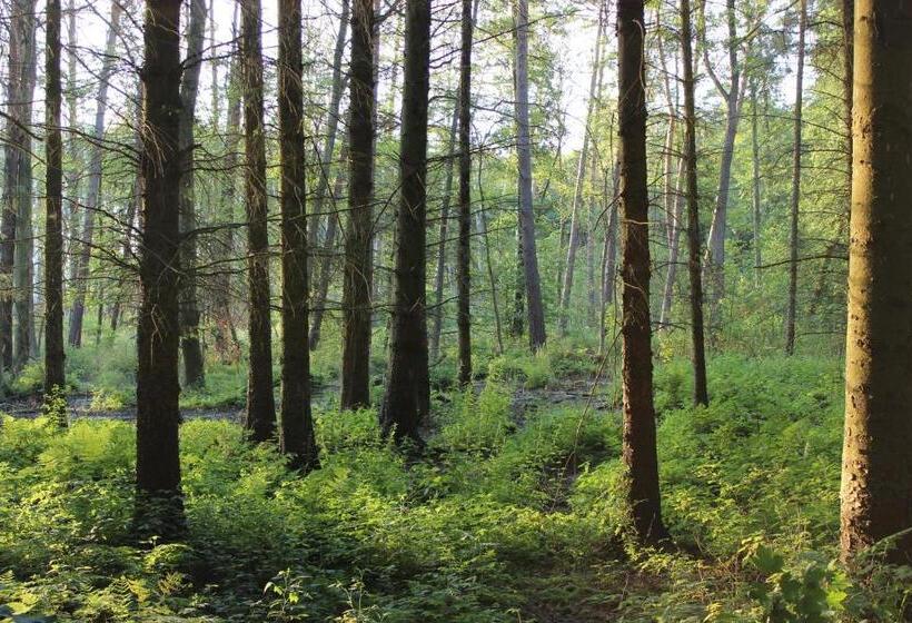 فندق Idyll Am Wolgastsee