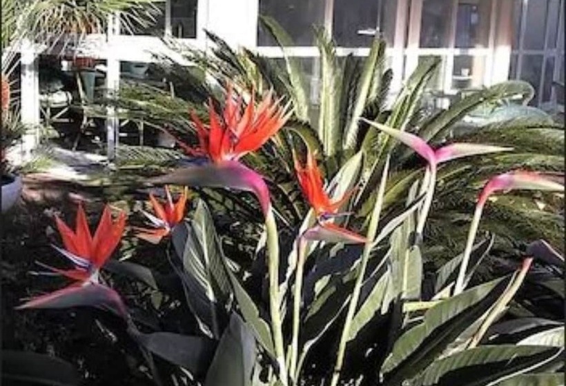 בית מלון כפרי L Esterella